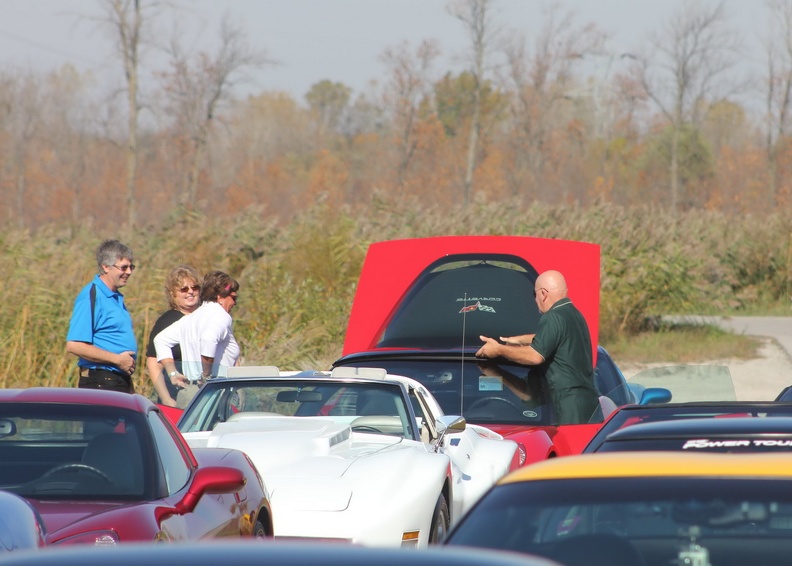chicken-run-october-2011-030.jpg