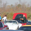 chicken-run-october-2011-030