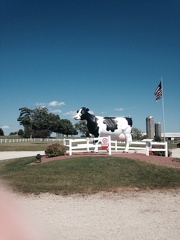 photo-1a
