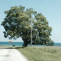 photo-5