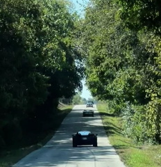 Picture11