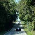 Picture11