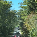 Picture14