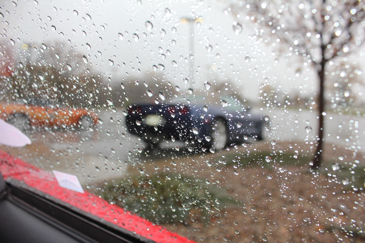2012-chicken-run-003.jpg