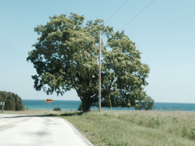 photo-5.jpg
